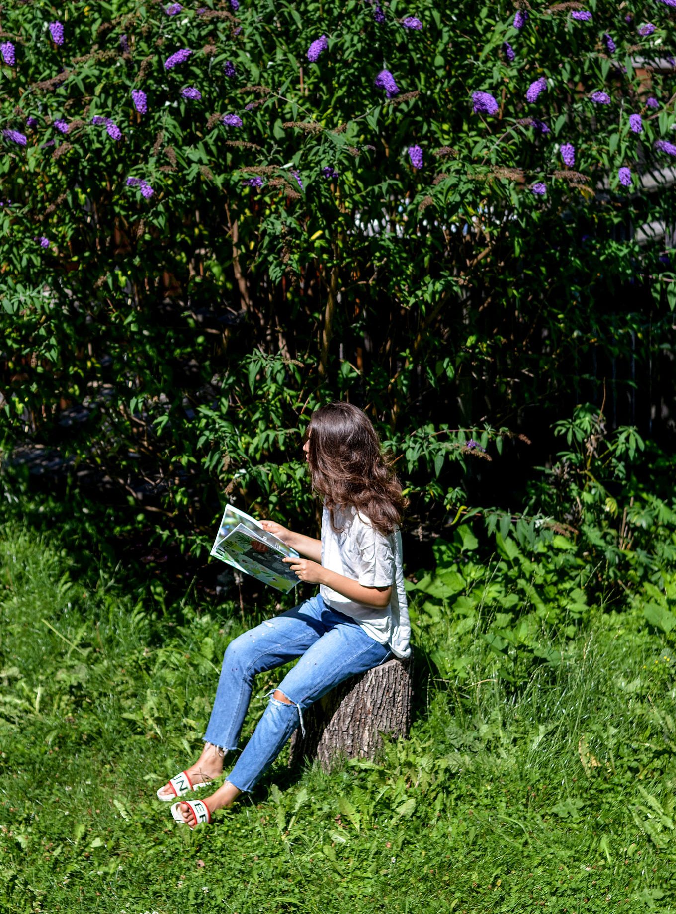 Zitrusduft meets Summer-Read: Großes Gewinnspiel mit Werde, Weleda und Lanius