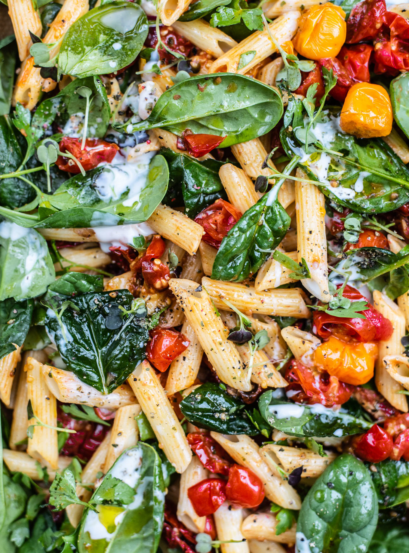 Der ultimative, saftige Nudelsalat für den Sommer [vegan, glutenfrei]