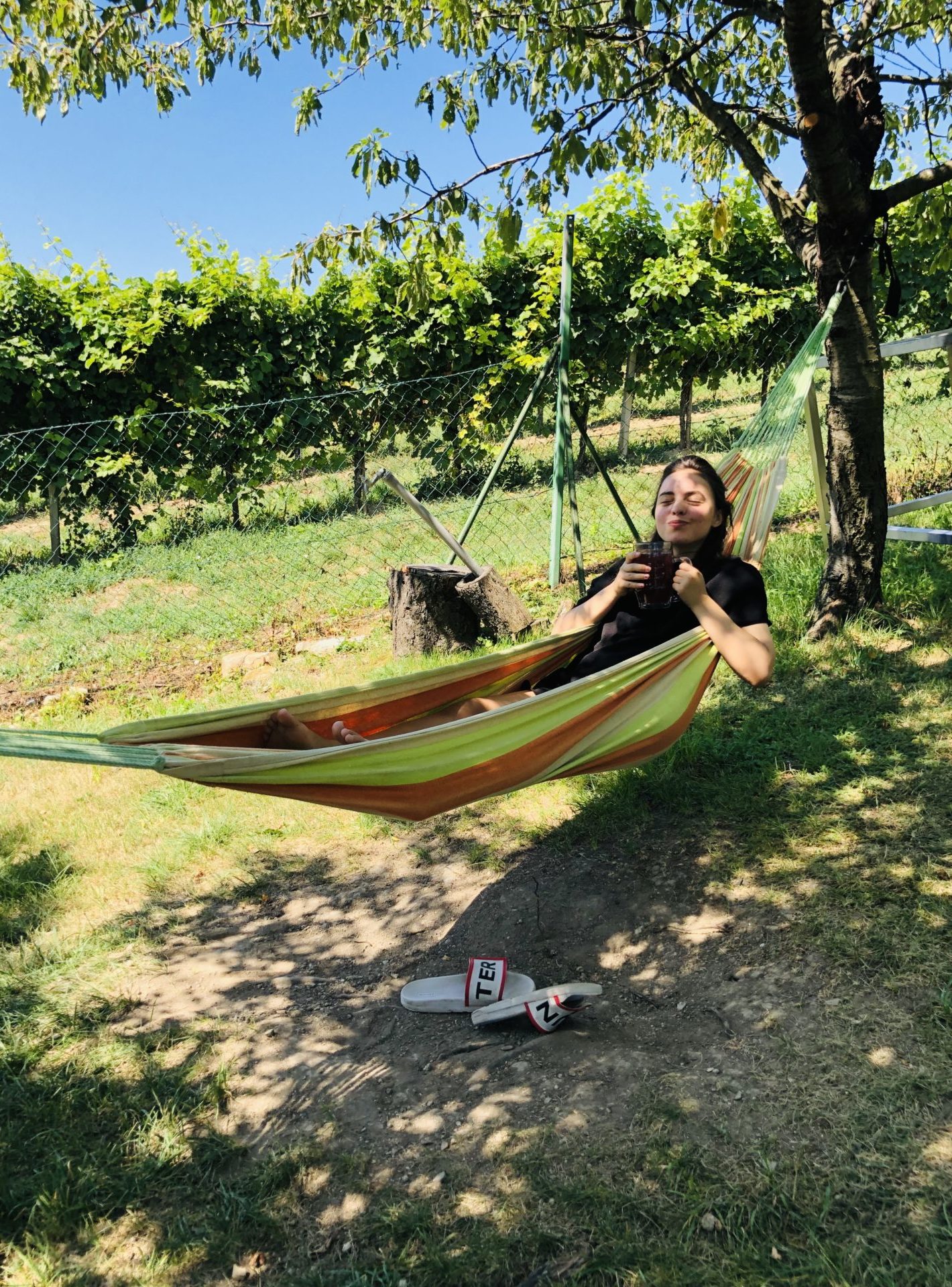 August Life Update: Walnussbaum Patenschaft, Wandern in Wien, nachhaltige Notizbücher, Geheimtipps für Wien und Alex‘ neue Birkis