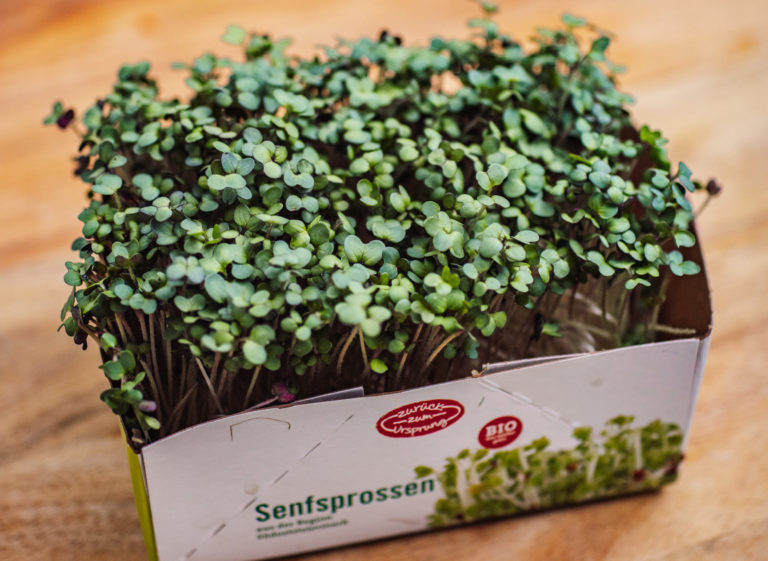 Rotkohl "Wraps" mit Tofu, Jungzwiebel und cremiger Erdnuss-Ingwer-Sauce ... Rotkohl "Wraps" mit Tofu, Jungzwiebel und cremiger Erdnuss-Ingwer-Sauce ...